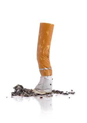 Stubbed Out Cigarette Butt Stubbed Out Cigarette Butt